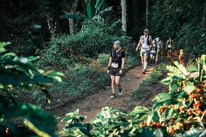 BIB: 
                            <button type="button" onclick="openModal(25811153)" class="btn btn-primary btn-sm float-right btn-popup" data-toggle="modal" data-target=".modal-high-quality">
                        <i class="fas fa-shopping-cart"></i> Add to Cart
                    </button>
                                            <button type="button" onclick="isThisMe(25811153, true)" class="btn btn-success btn-sm float-right btn-popup btn-isme hidden" data-toggle="tooltip" data-placement="bottom" title="นี่คือรูปของคุณใช่ไหม คลิกที่นี่เพื่อเอาเข้าอัลบั้ม">
                        <i class="fas fa-plus"></i> Add to album
                    </button>
                    <button type="button" onclick="isThisMe(25811153, false)" class="btn btn-warning btn-sm float-right btn-popup btn-isnotme hidden">
                        <i class="fas fa-ban"></i> Remove from album
                    </button>